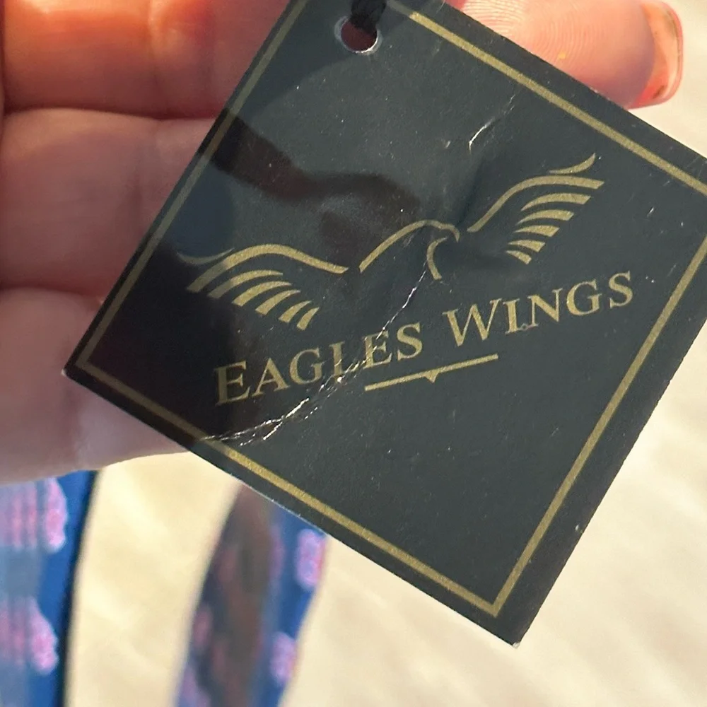NWT Eagles Wind Boston Red Sox Print Silk Tie